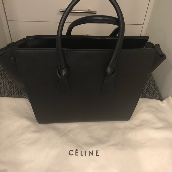 Celine Bag - Picture 1 of 5